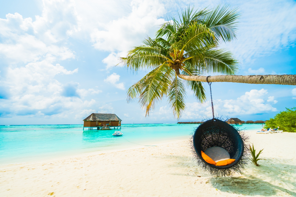 Que faire à Zanzibar, guide de voyage