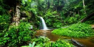 Chutes de Huay Kaew, Thaïlande